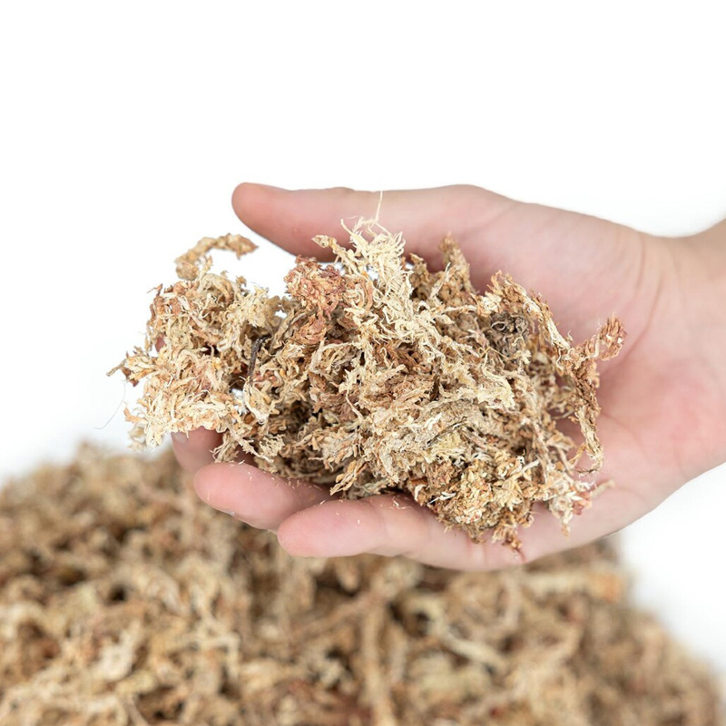 Happet Sphagnum kiminų samanos terariumams, 150 g