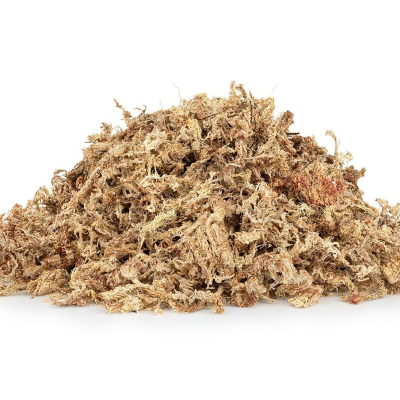 Happet Sphagnum kiminų samanos terariumams, 150 g