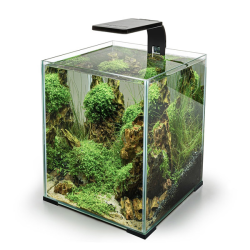 Aquael Leddy Smart Plant juoda akvariumo lempa 4,8 W