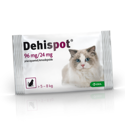 Dehispot užlašinamasis tirpalas nuo kirminų ir kaspinuočių didelėms katėms, 96 mg/24 mg