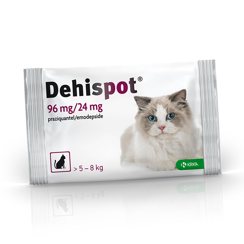 Dehispot užlašinamasis tirpalas nuo kirminų ir kaspinuočių didelėms katėms, 96 mg/24 mg