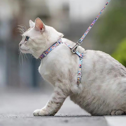 Happet žalias pavadėlis ir petnešos katėms