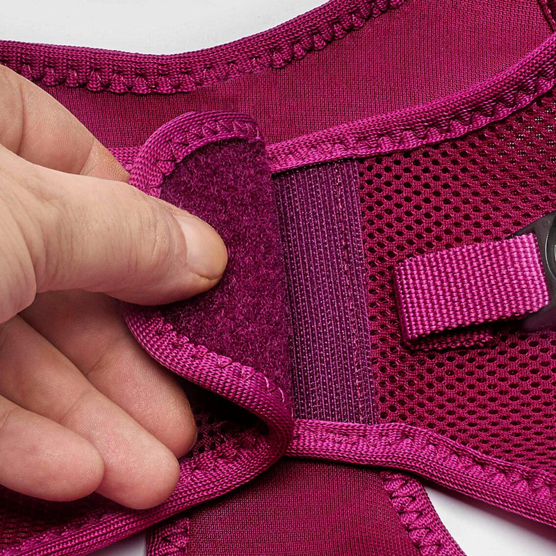 Happet minkštos, violetinės petnešos šunims ir katėms, L