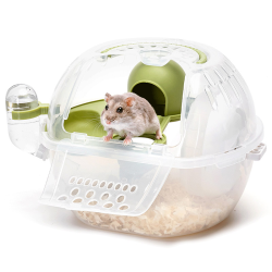 Nobleza žalias nešiojimo...