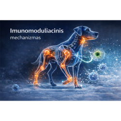 Flexadin Advanced Muscle Support šunims, 30 tabl.