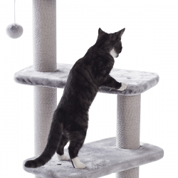 Nobby Zera pilka draskyklė katėms