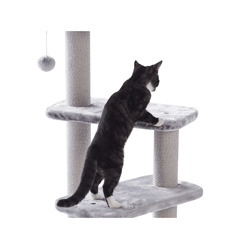 Nobby Zera pilka draskyklė katėms