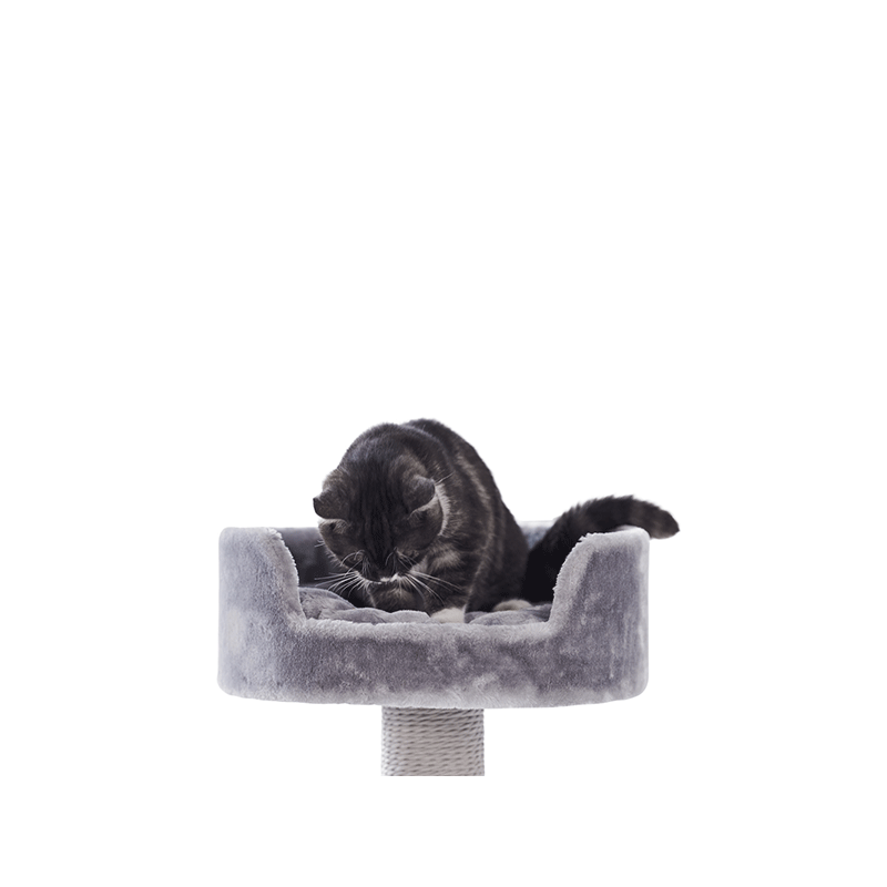 Nobby Zera pilka draskyklė katėms