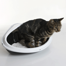 Nobby Concha kampinis tualetas katėms