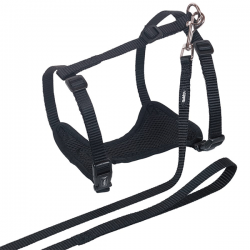 Nobby Mesh petnešos ir...