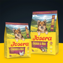 Josera Mini Senior Chicken&Rice sausas maistas šunims, 900 g