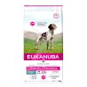 Eukanuba Daily Care Working and Endurance sausas maistas šunims, 15 kg