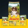 Josera Herring sausas maistas šunims, 900 g