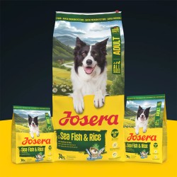 Josera Sea Fish&Rice sausas maistas šunims, 12,5 kg