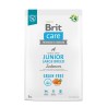 Brit Care Grain Free Junior Large Breed Salmon sausas pašaras šunims, 3 kg