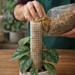 Happet Sphagnum kiminų samanos terariumams, 500 g
