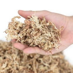 Happet Sphagnum kiminų samanos terariumams, 500 g