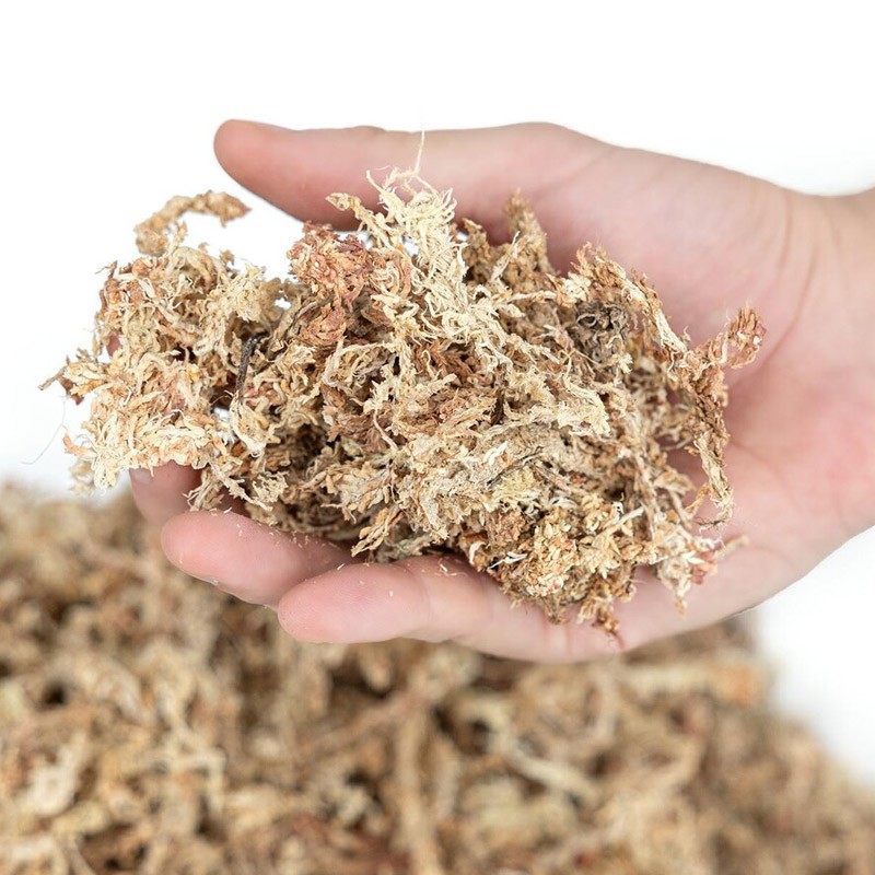 Happet Sphagnum kiminų samanos terariumams, 500 g
