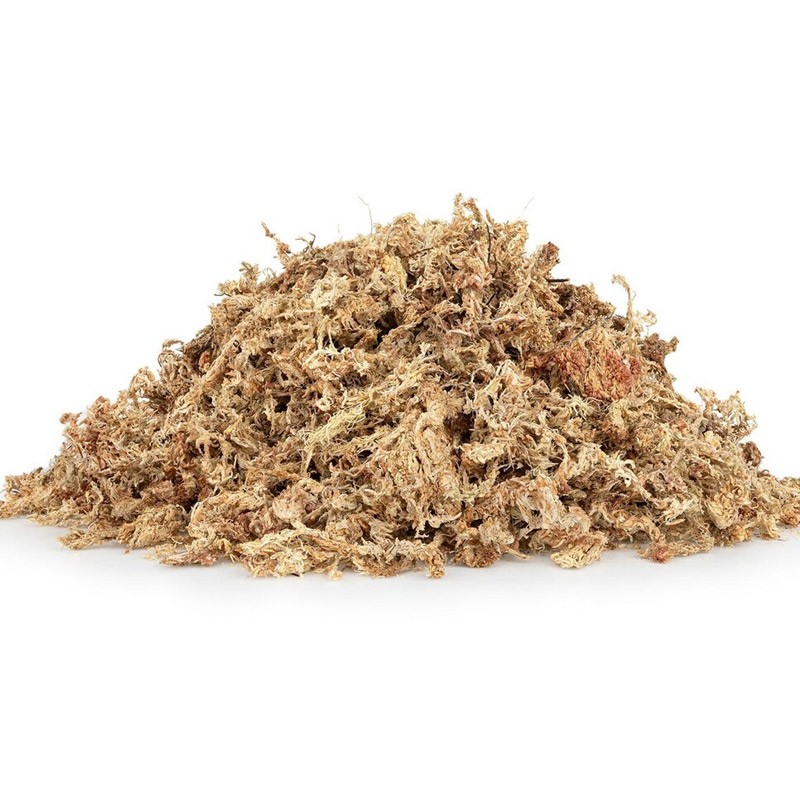Happet Sphagnum kiminų samanos terariumams, 500 g