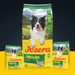 Josera A/S Lamb&Rice sausas maistas šunims, 3 kg
