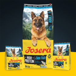 Josera High Protein Sea Fish sausas maistas šunims, 3 kg