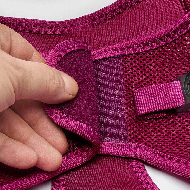Happet minkštos, violetinės petnešos šunims ir katėms, XXS