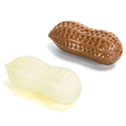 Nobleza guminis riešutas...