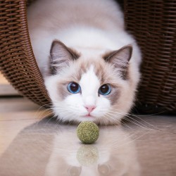 Nobleza katžolės kamuoliukai katėms, 2 vnt.
