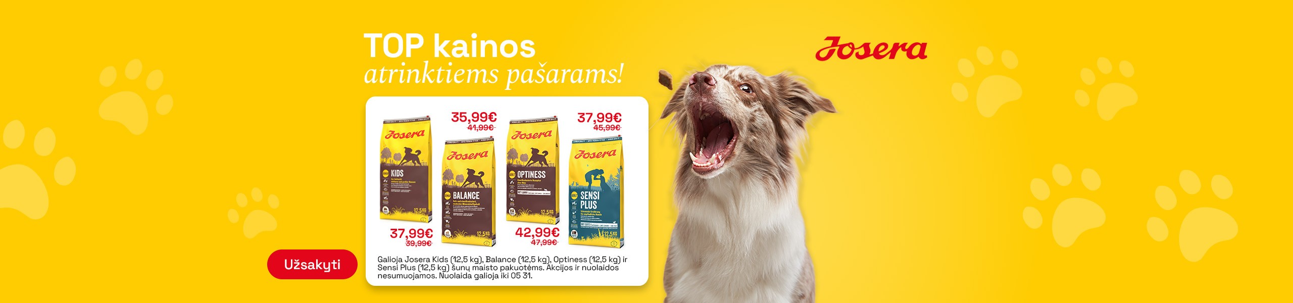 Sausas maistas