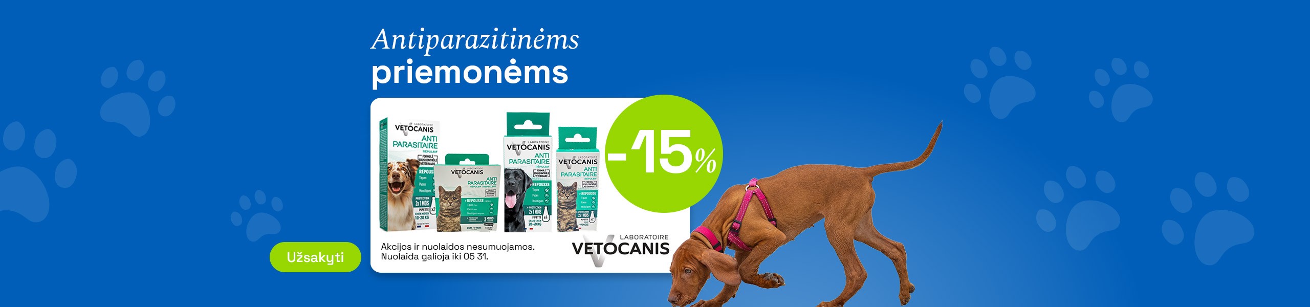 Šunims