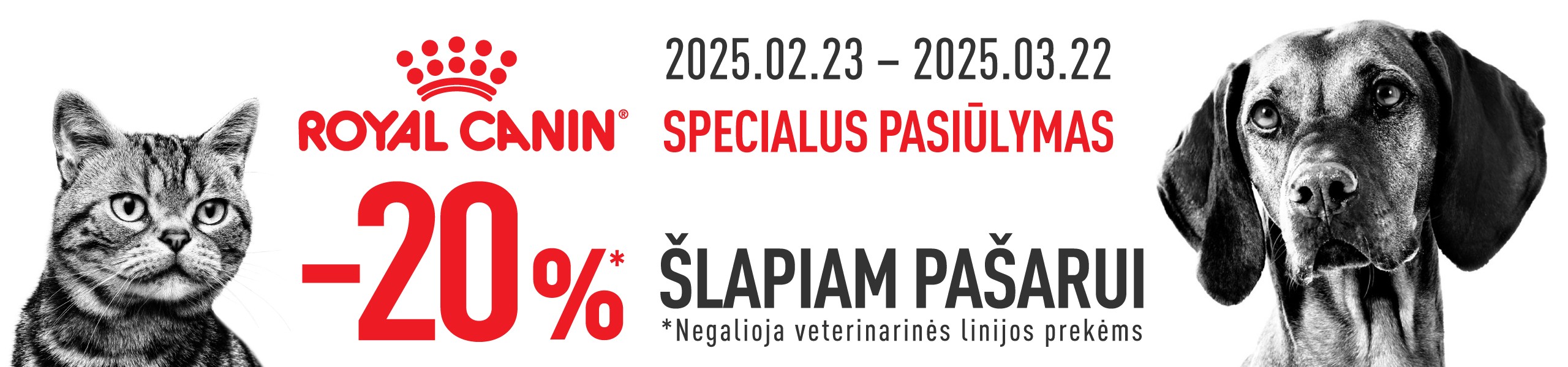 Royal Canin šunims, katėms akcija