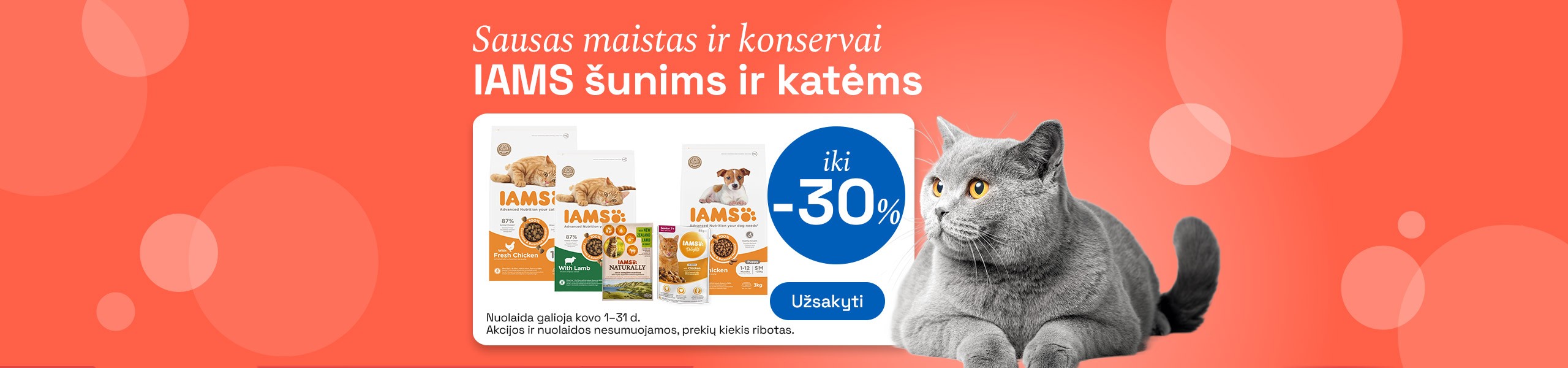 Sausas maistas
