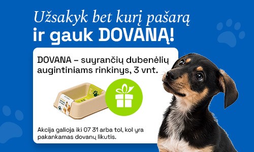 Sausas maistas