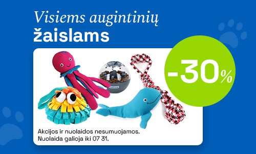 Žaislai