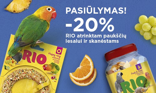 Maistas ir skanėstai