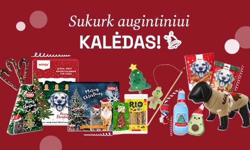 KALĖDINĖS PREKĖS KATĖMS