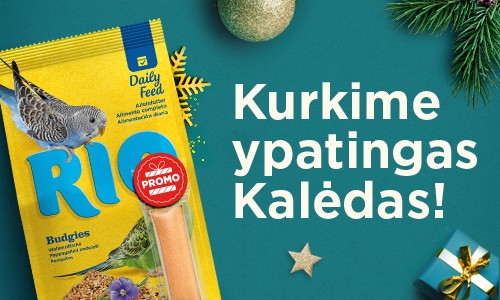 RIO Dovana Paukščiams