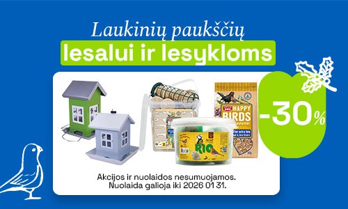Lesalai Ir Lesyklos