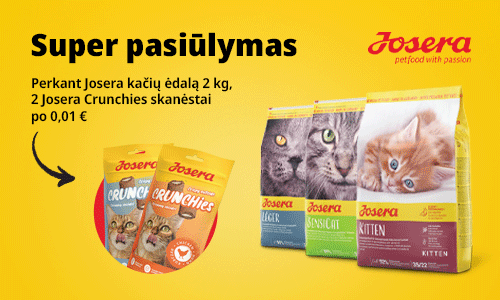 Perkant Josera Katėms, Skanėstai Dovanų