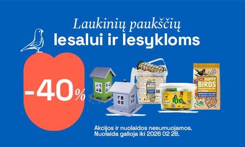 Lesalai Ir Lesyklos