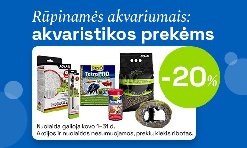 Žuvims