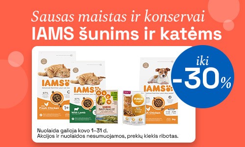 Sausas maistas